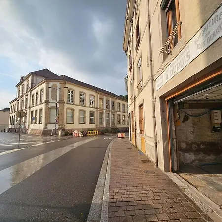 Maison Avec Garage Et Terrasse Quartier Historique * Épinal